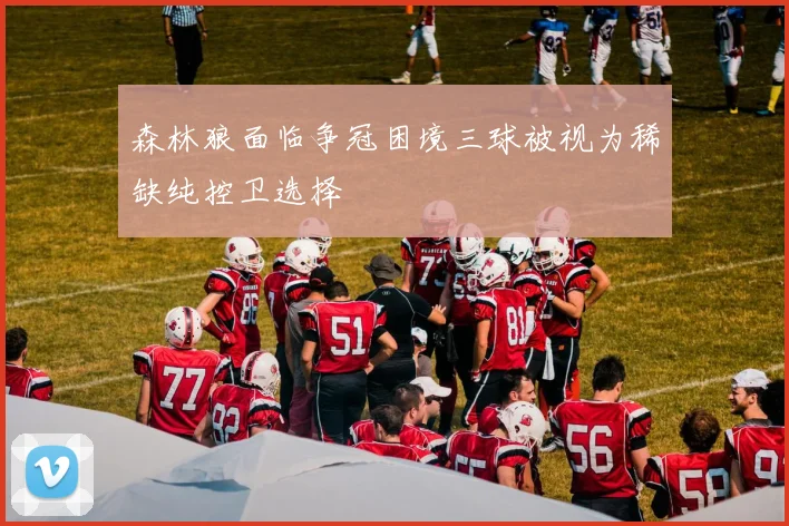 森林狼面临争冠困境三球被视为稀缺纯控卫选择