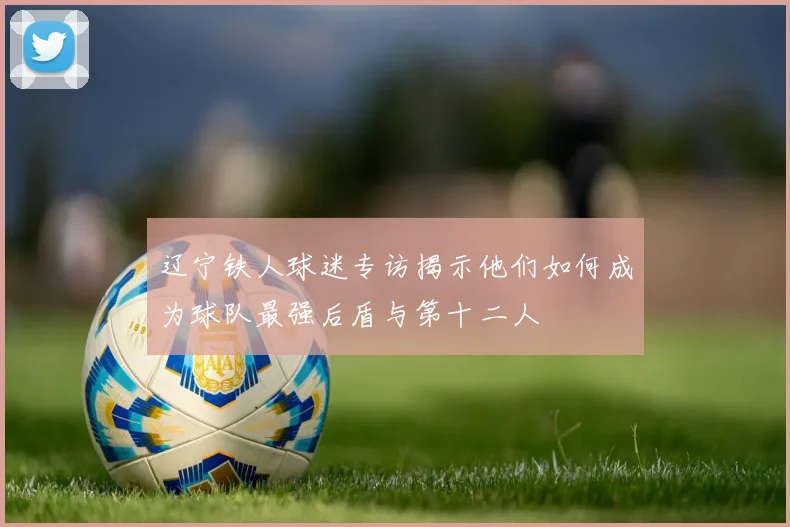 辽宁铁人球迷专访揭示他们如何成为球队最强后盾与第十二人