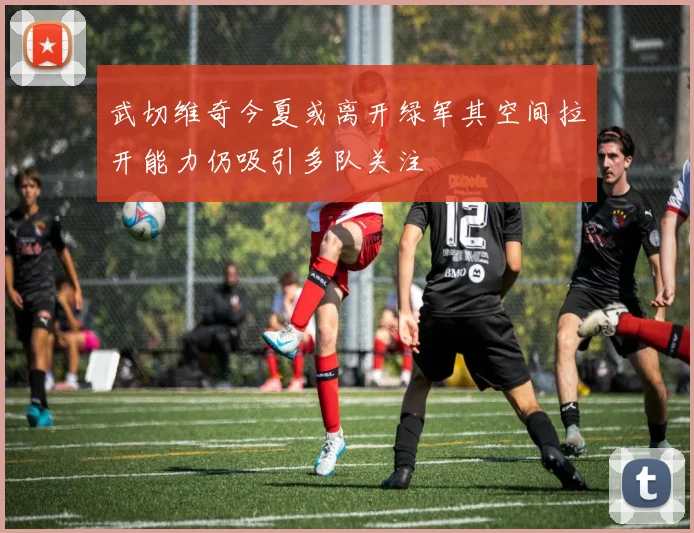 武切维奇今夏或离开绿军其空间拉开能力仍吸引多队关注