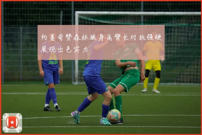 约基奇赞森林狼身高臂长对抗强硬展现出色实力